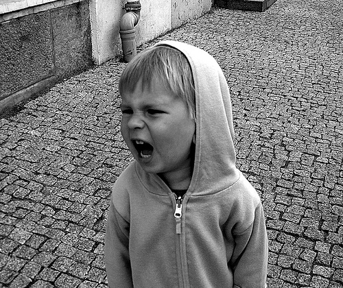 toddler tantrum photo