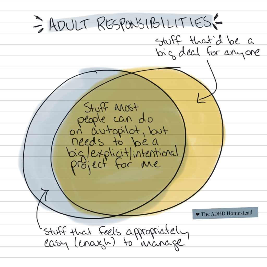 Hand-drawn Venn diagram titled, "adult responsibilities." The two circles overlap significantly in the middle for a segment titled, "stuff most people can do on autopilot, but needs to be a big/explicit/intentional project for me." Slivers on the left and right are titled, "Stuff that'd be a big deal to anyone" and, "Stuff that feels appropriately easy (enough) to manage."